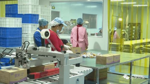 云夢(mèng)經(jīng)濟(jì)開發(fā)區(qū) 以完善服務(wù)體系為抓手，實(shí)現(xiàn)政企雙贏的信息系統(tǒng)運(yùn)行維護(hù)新篇章